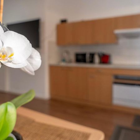 Cosy Nest - Apartment By Comfort Housing ファルケンゼー エクステリア 写真