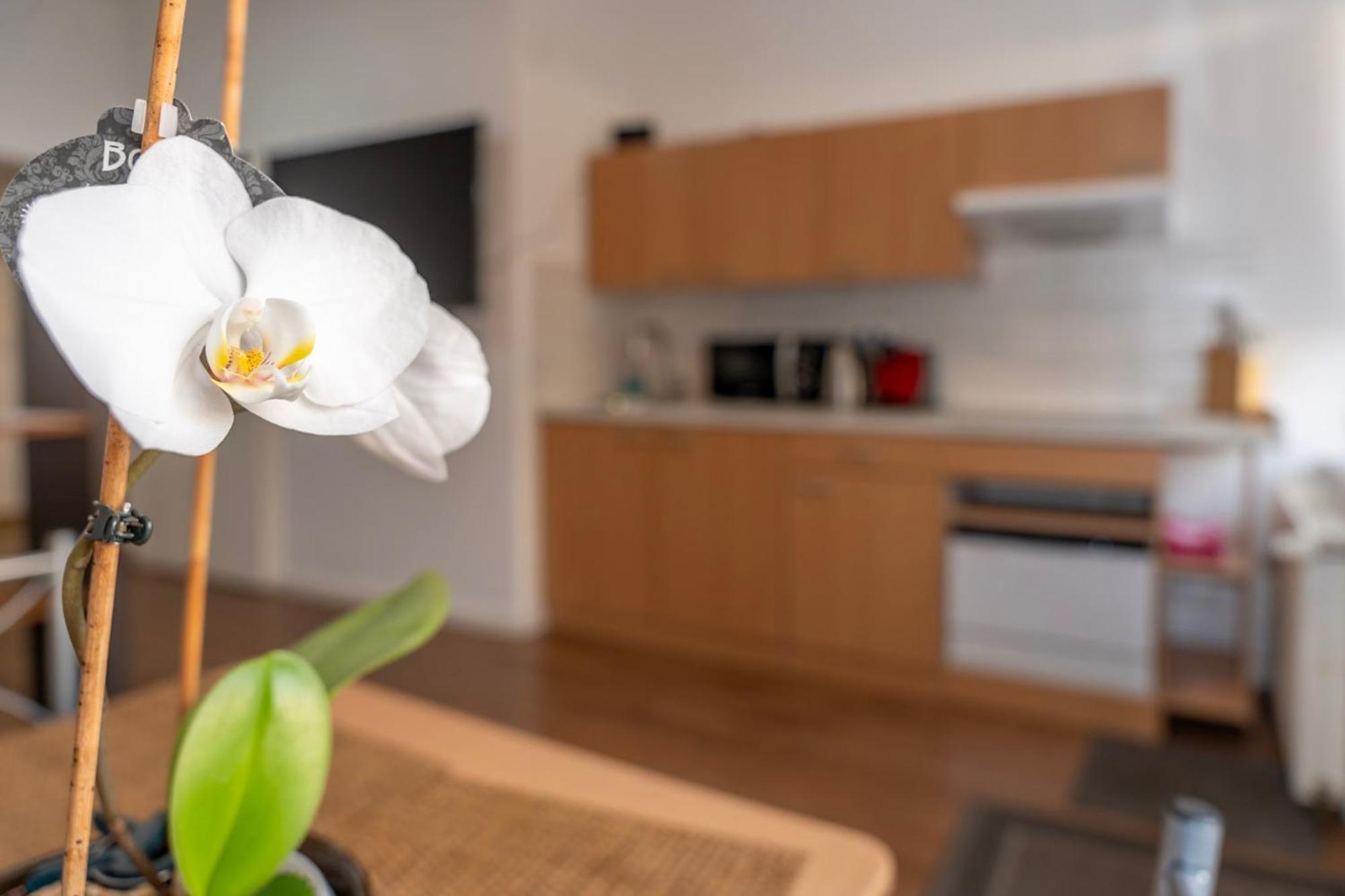 Cosy Nest - Apartment By Comfort Housing ファルケンゼー エクステリア 写真